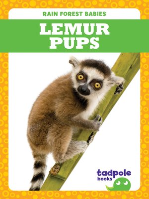 cover image of Lemur Pups